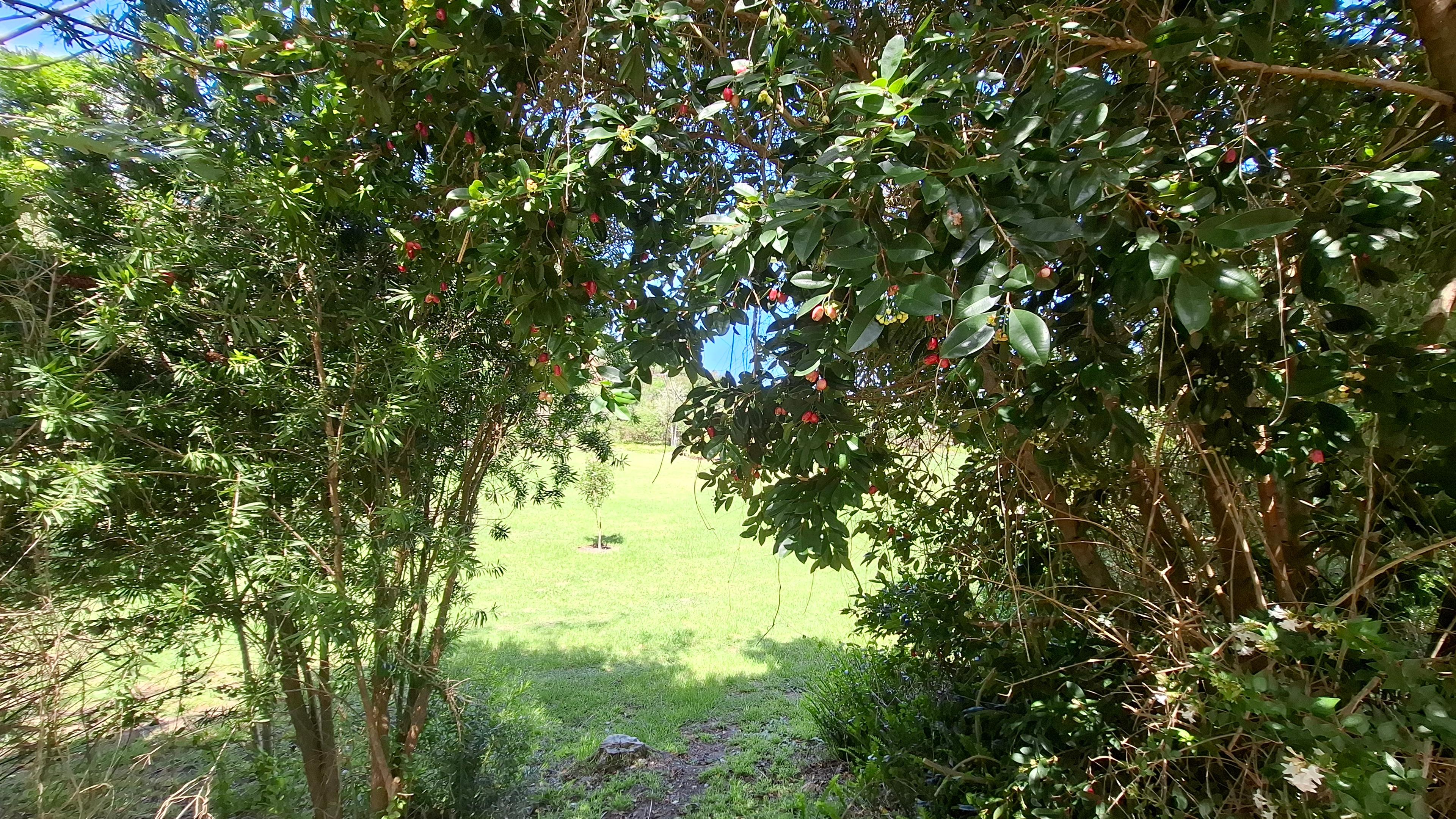 Image 3 of 6