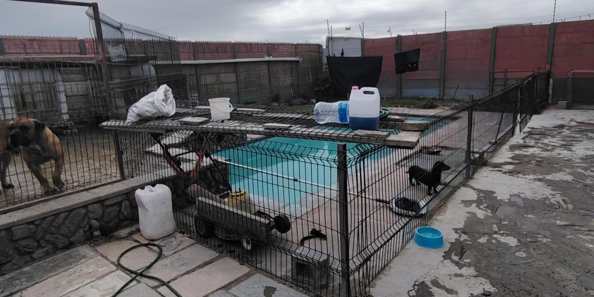 Image 5 of 6