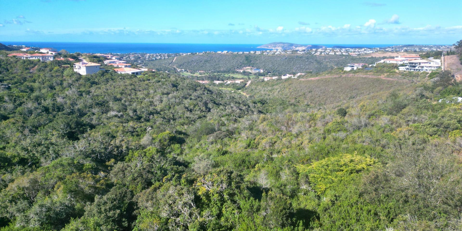 Image 3 of 6