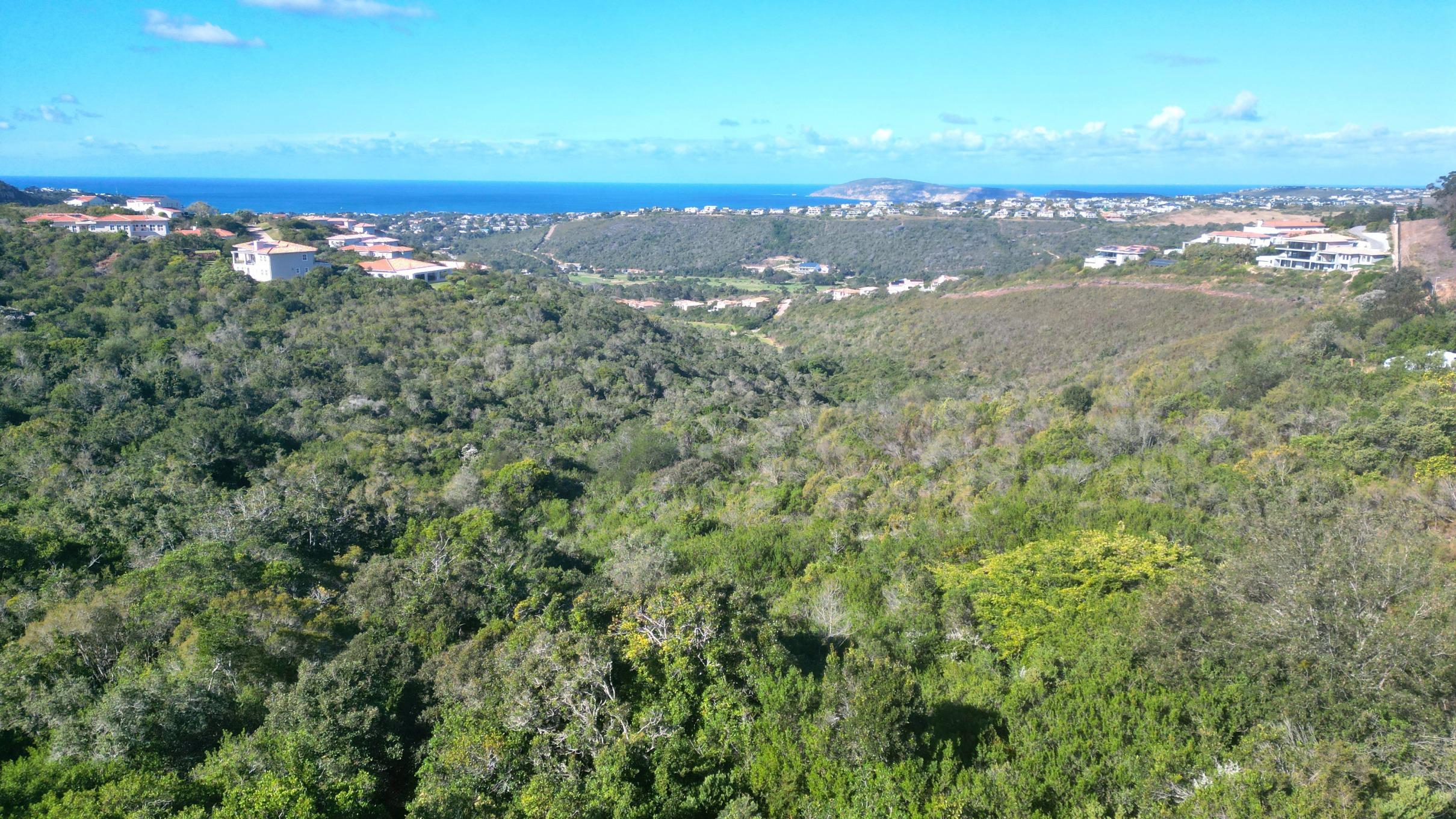 Image 3 of 6