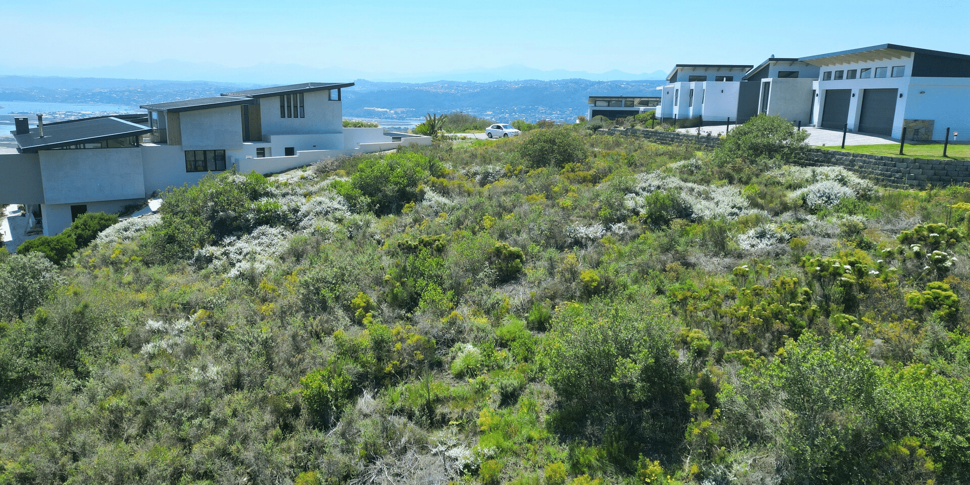 Image 5 of 6