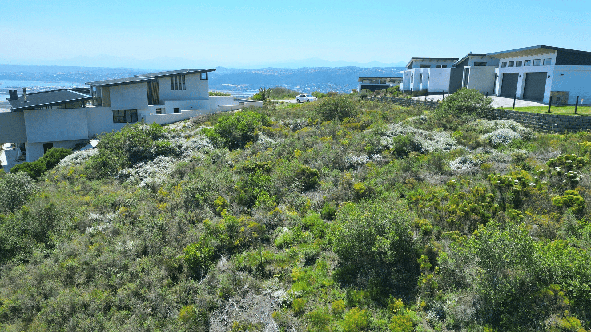 Image 5 of 6