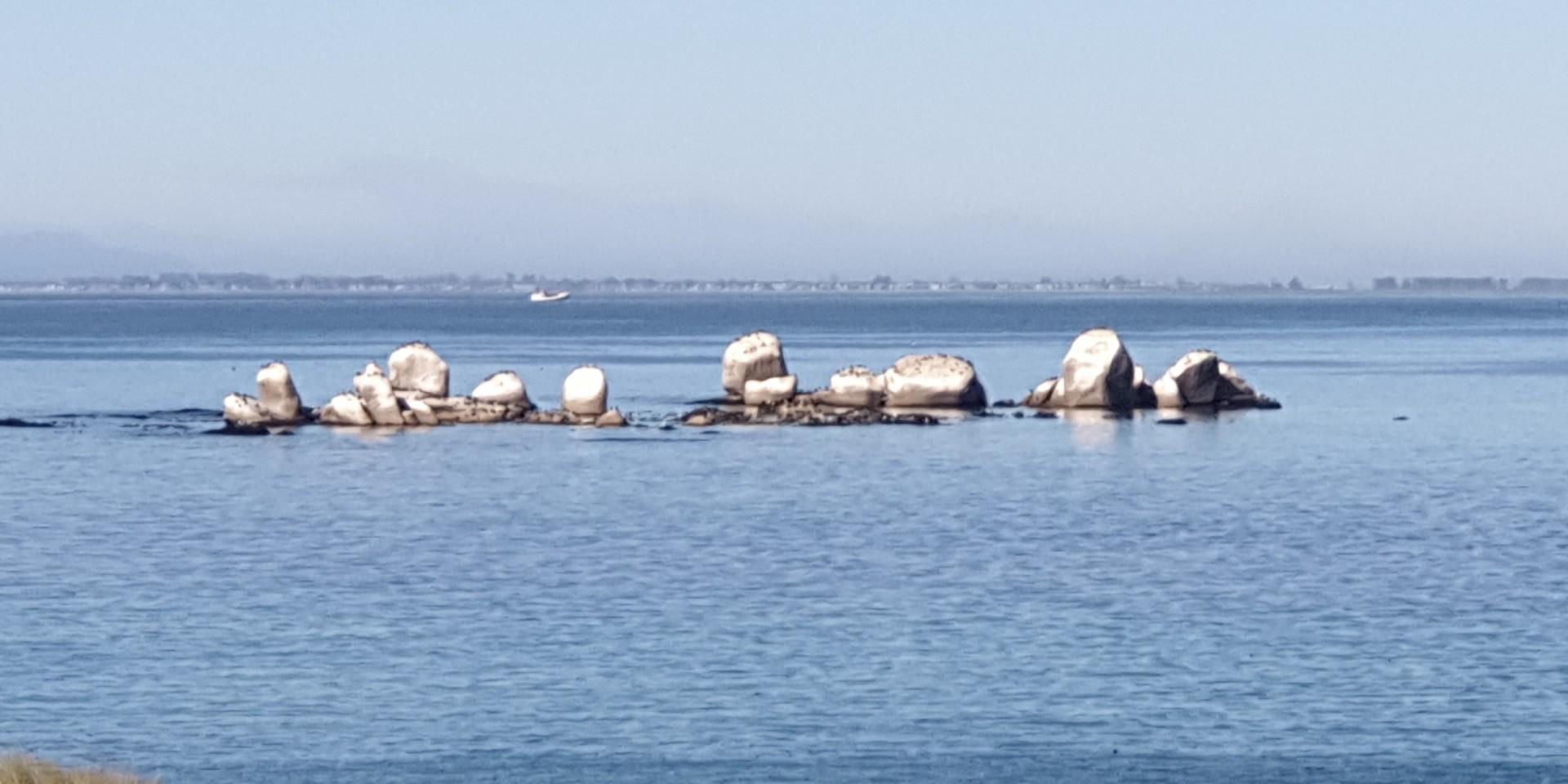 Image 2 of 6