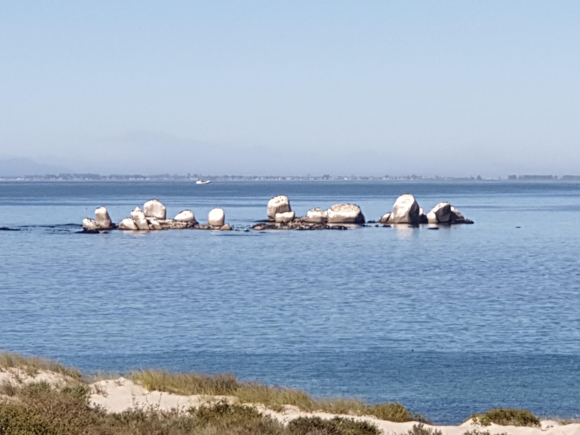 Image 2 of 6