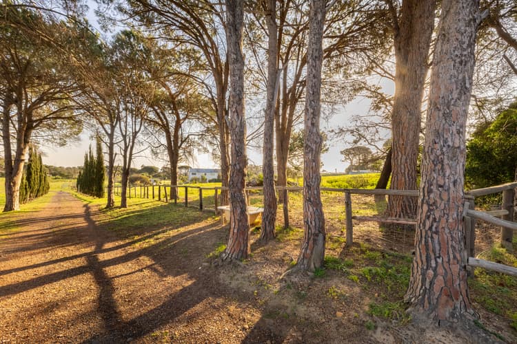 Main property image