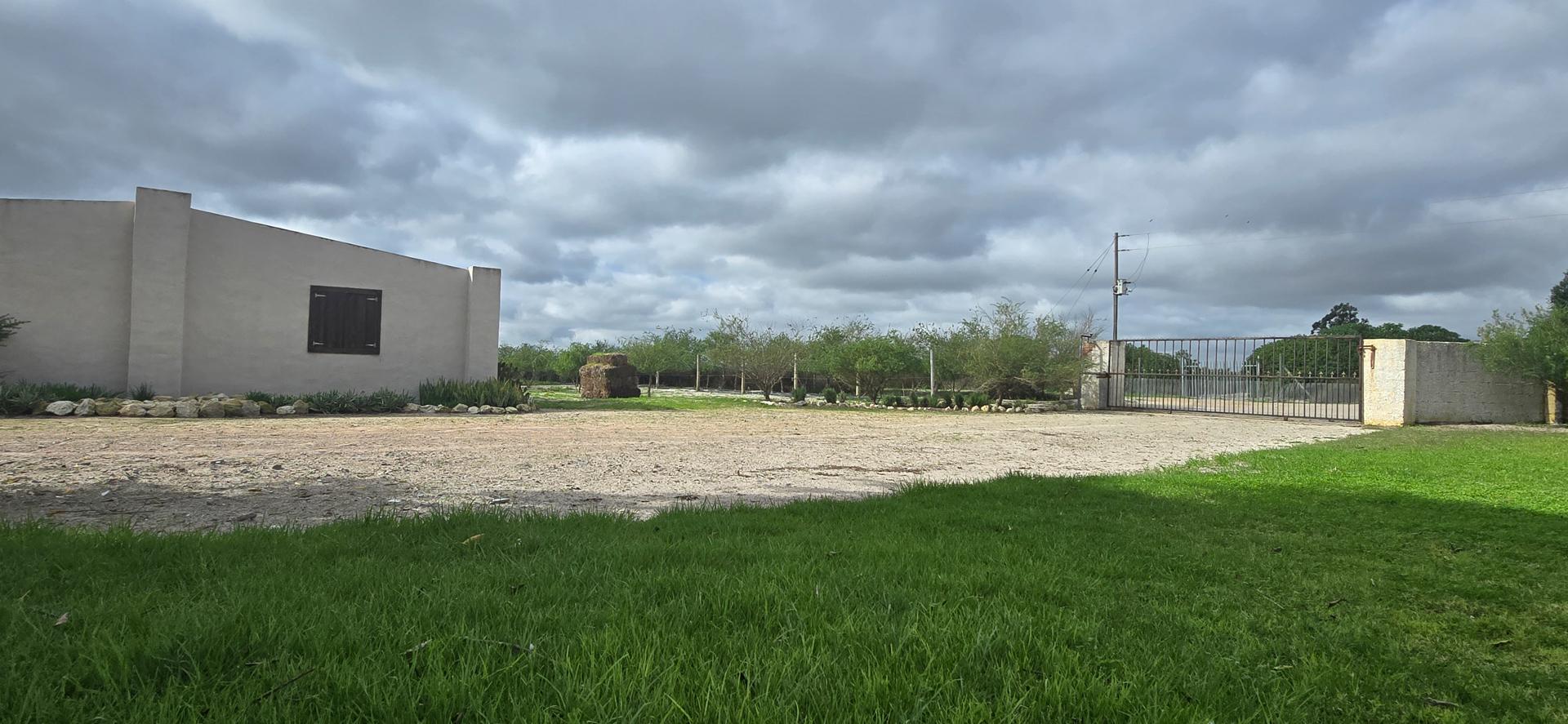 Image 87