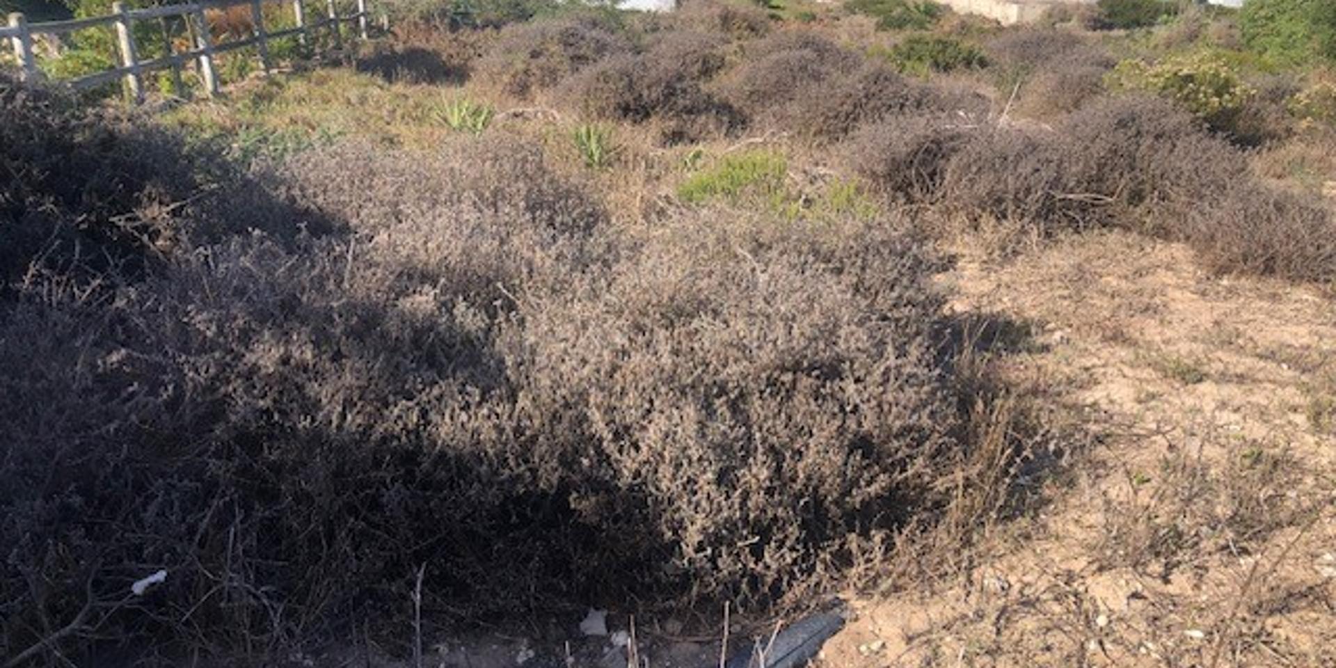 Image 1 of 6