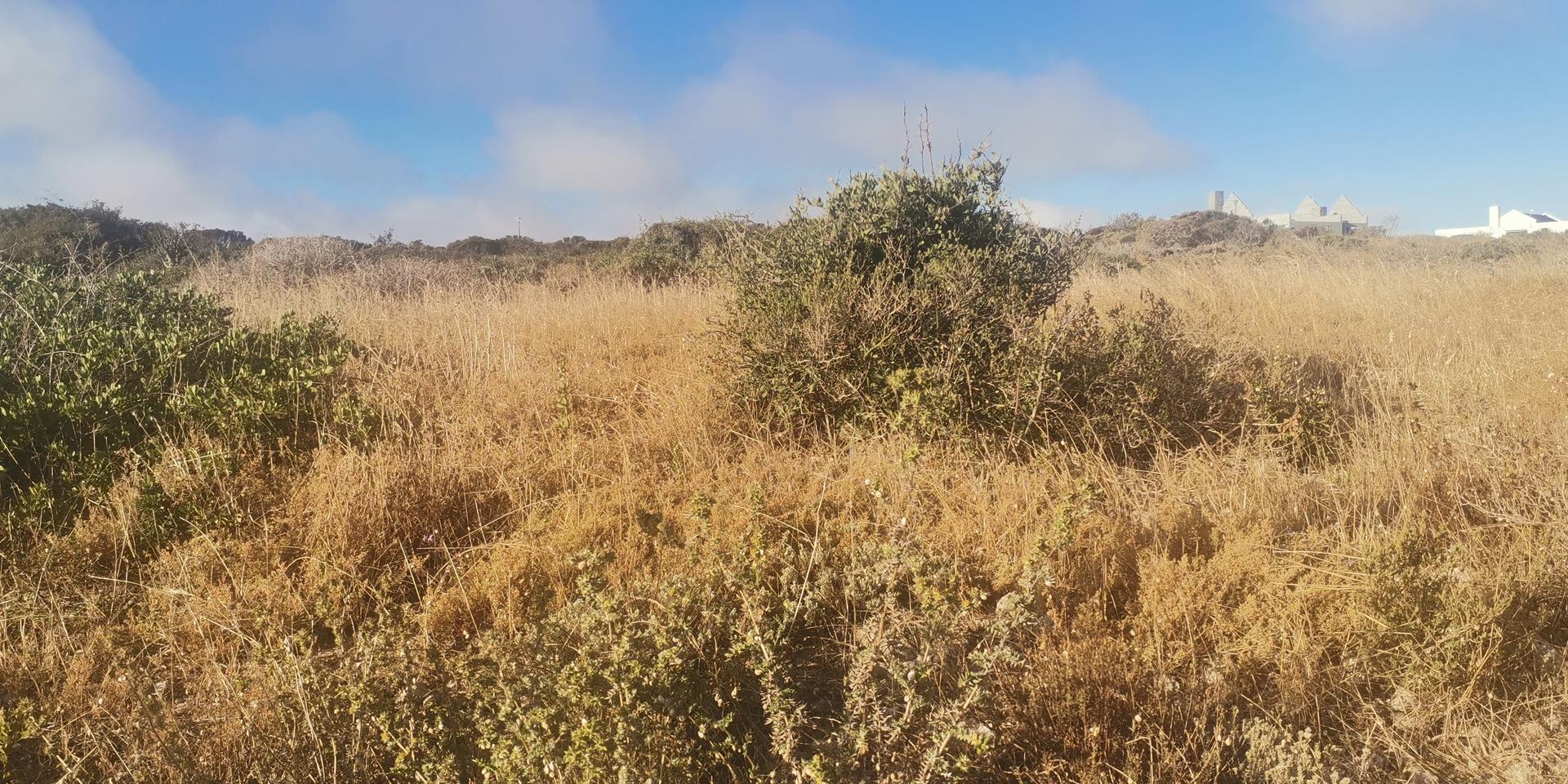 Image 5 of 6
