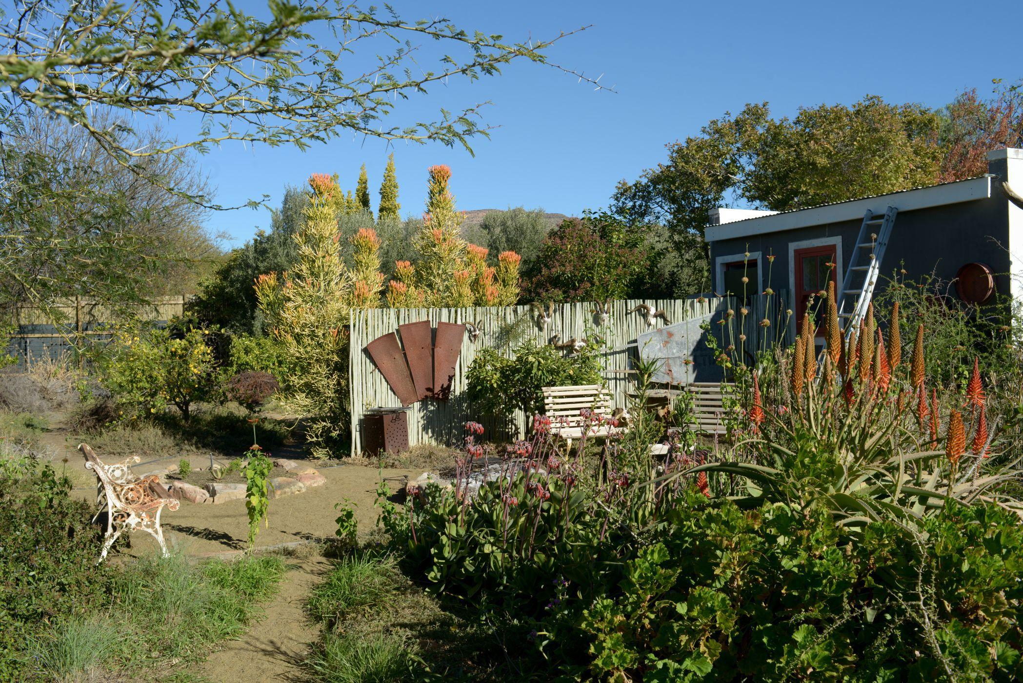Image 53