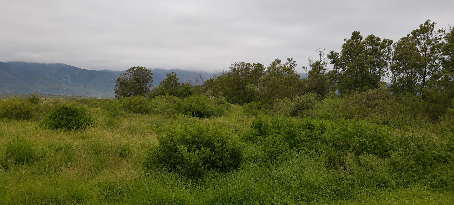 Image 43