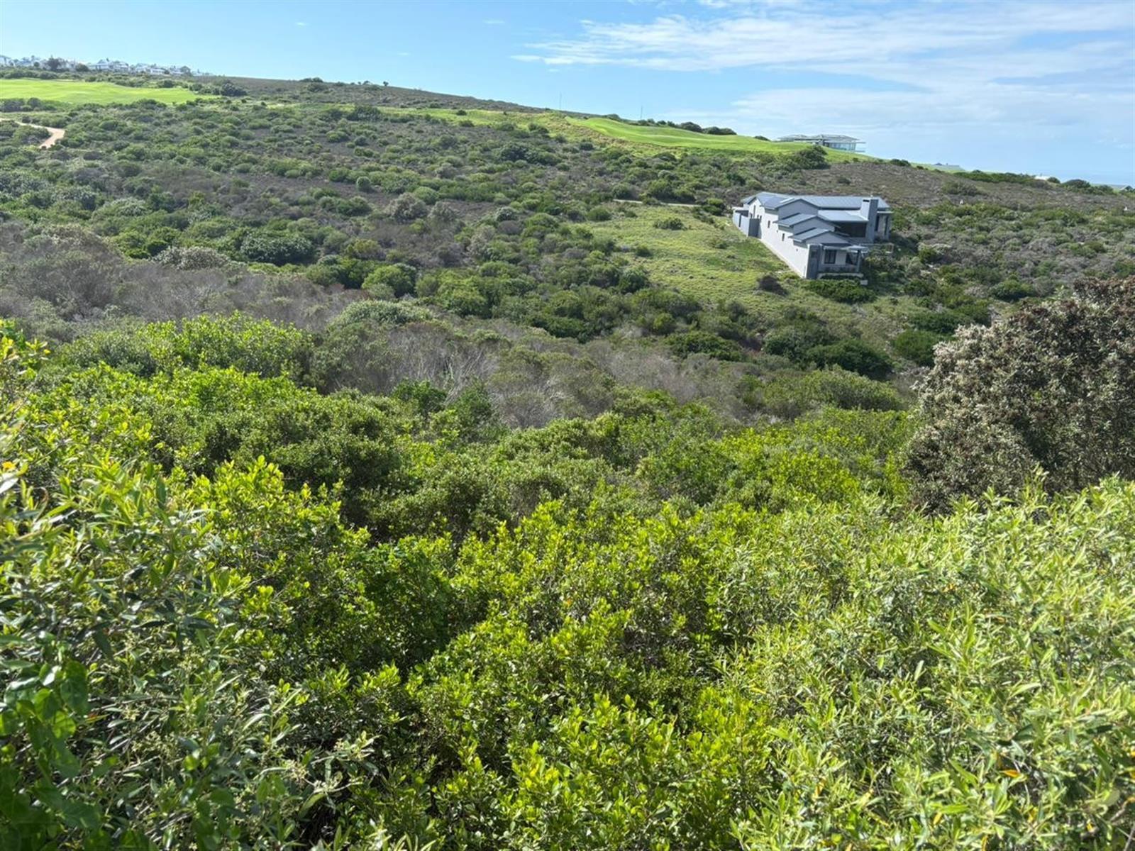 Image 3 of 6
