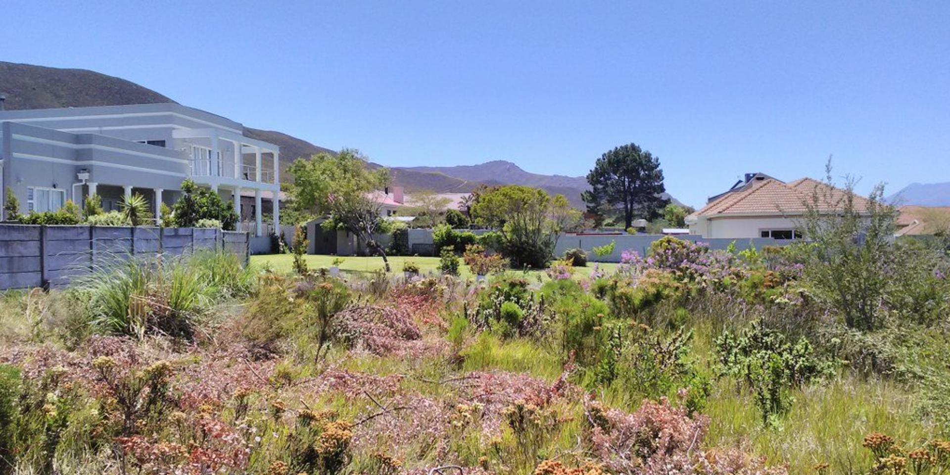 Image 5 of 6