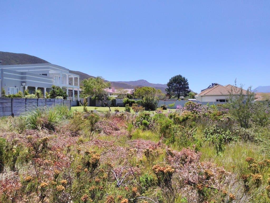 Image 5 of 6