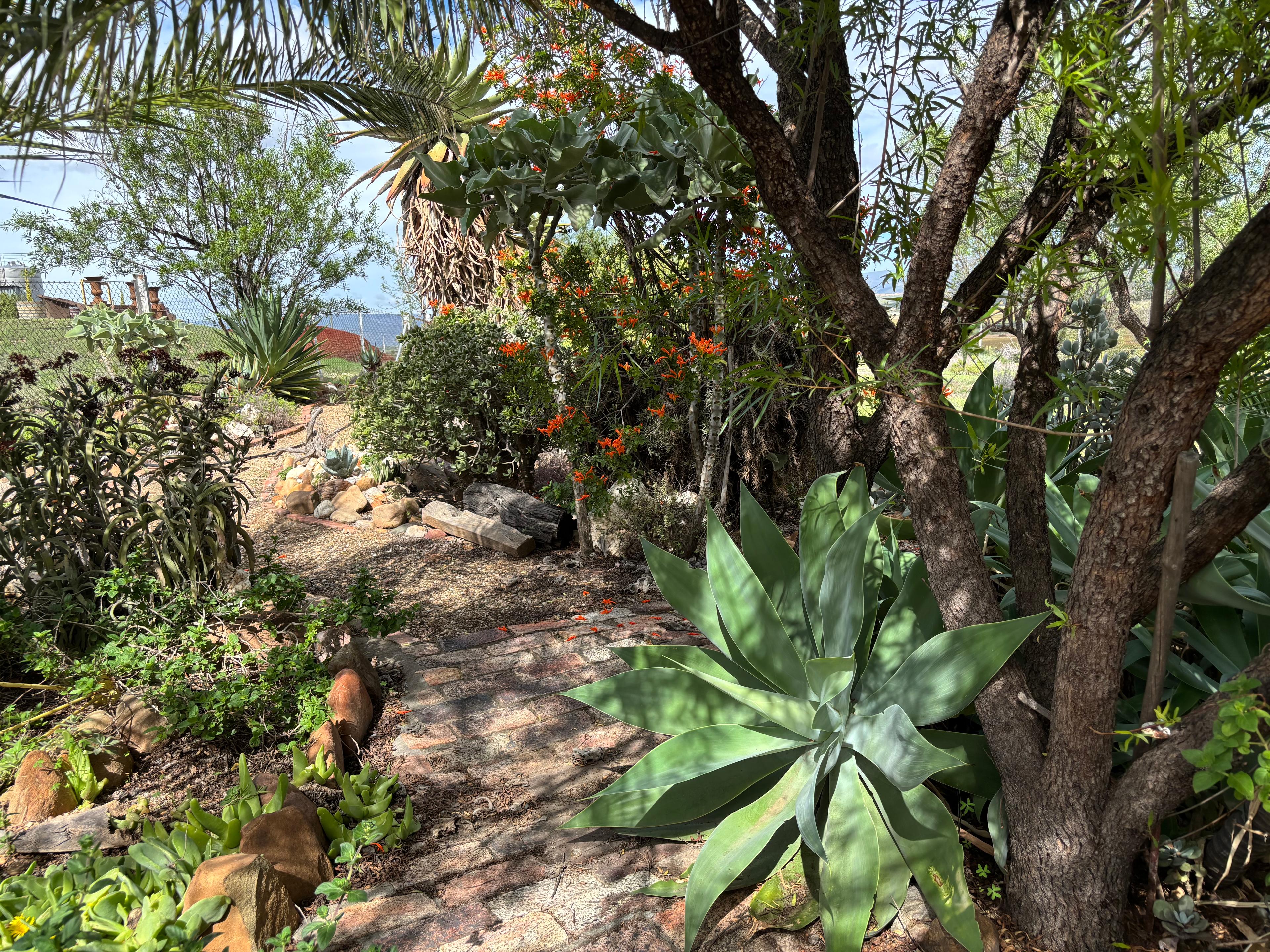 Image 36