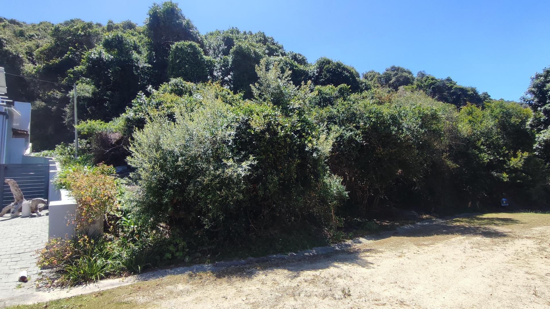 Image 4 of 6