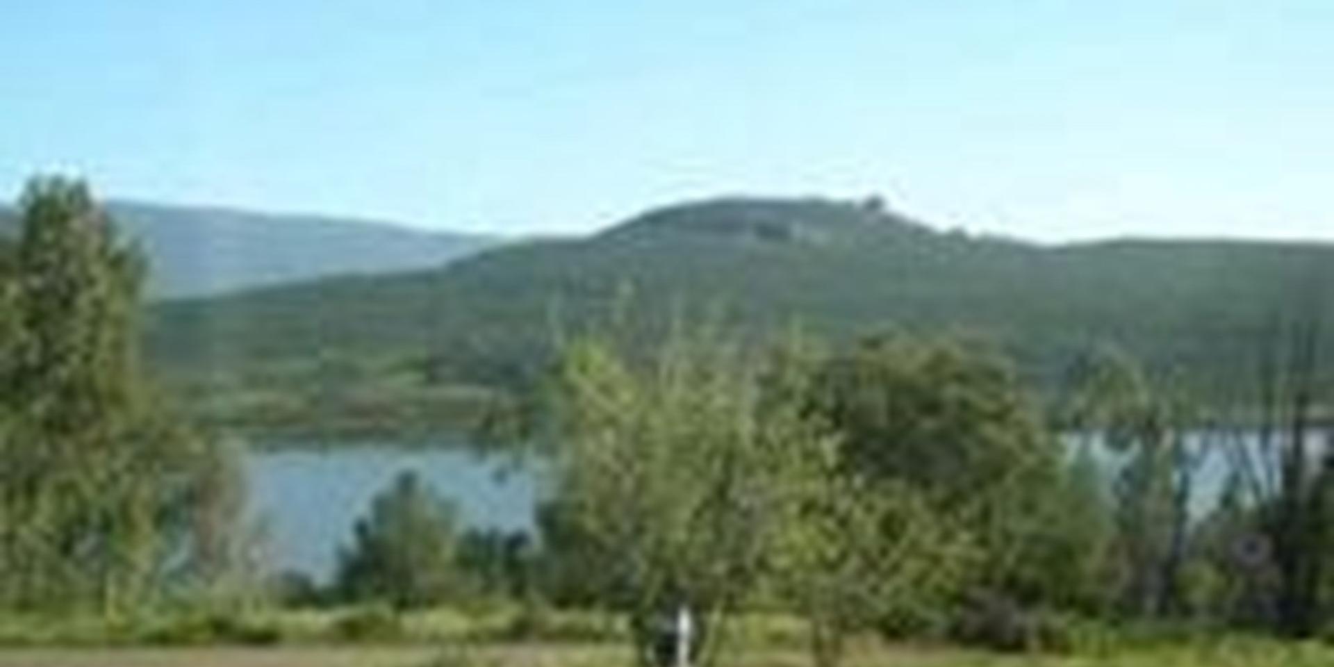 Image 2 of 6