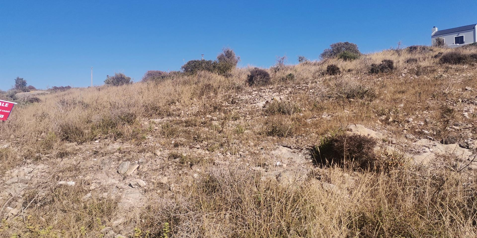 Image 4 of 6