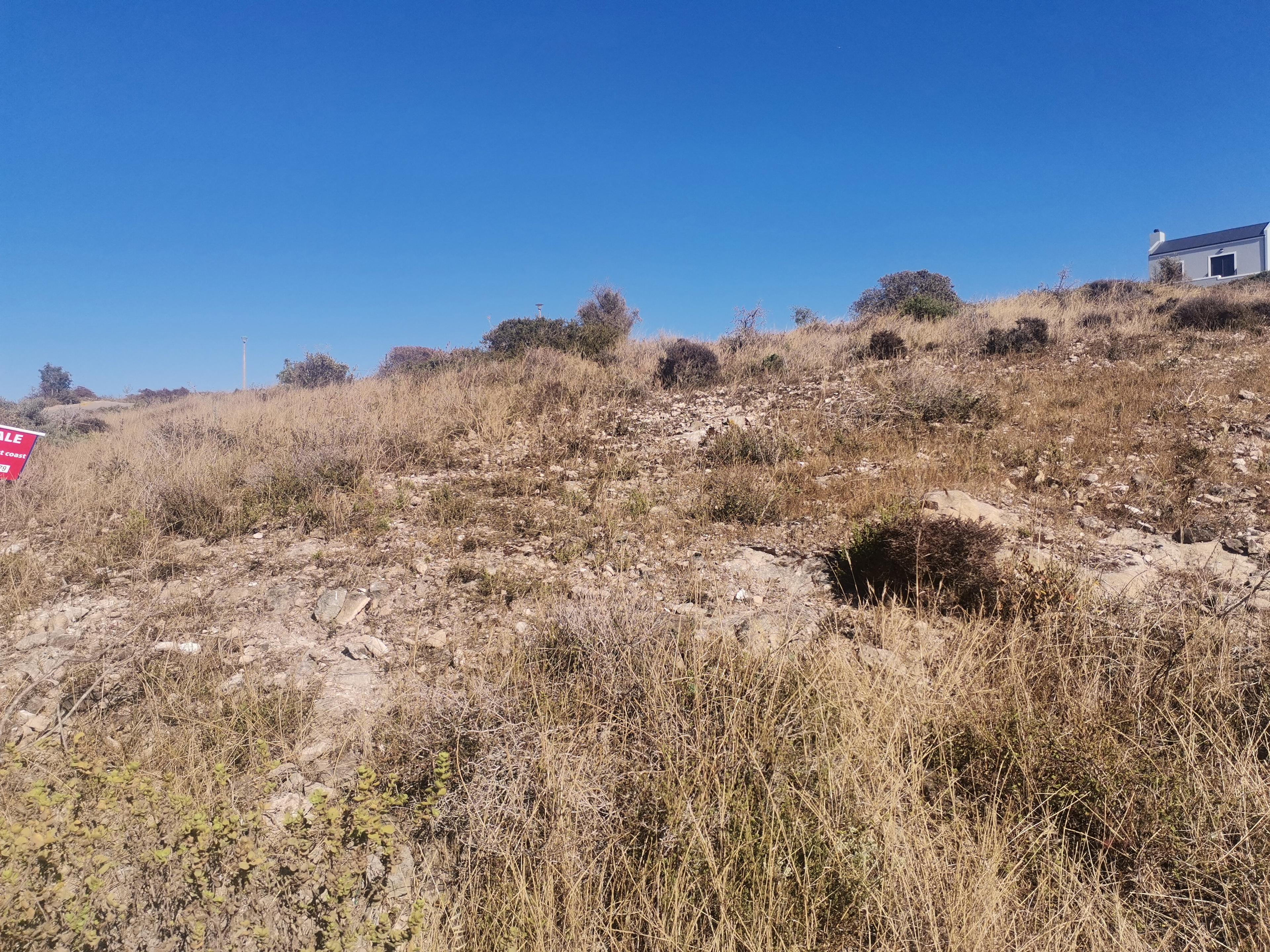 Image 4 of 6