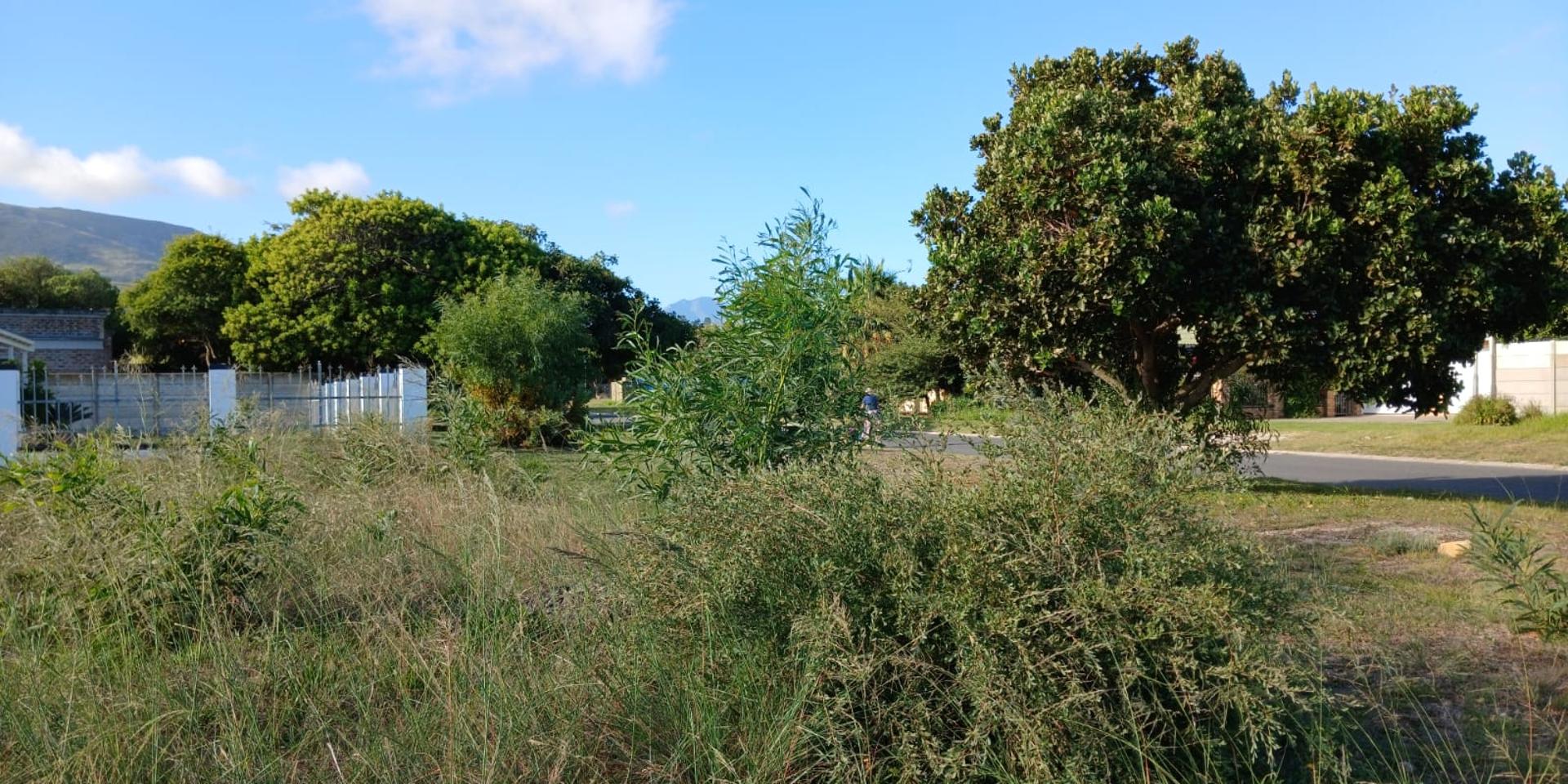 Image 3 of 6
