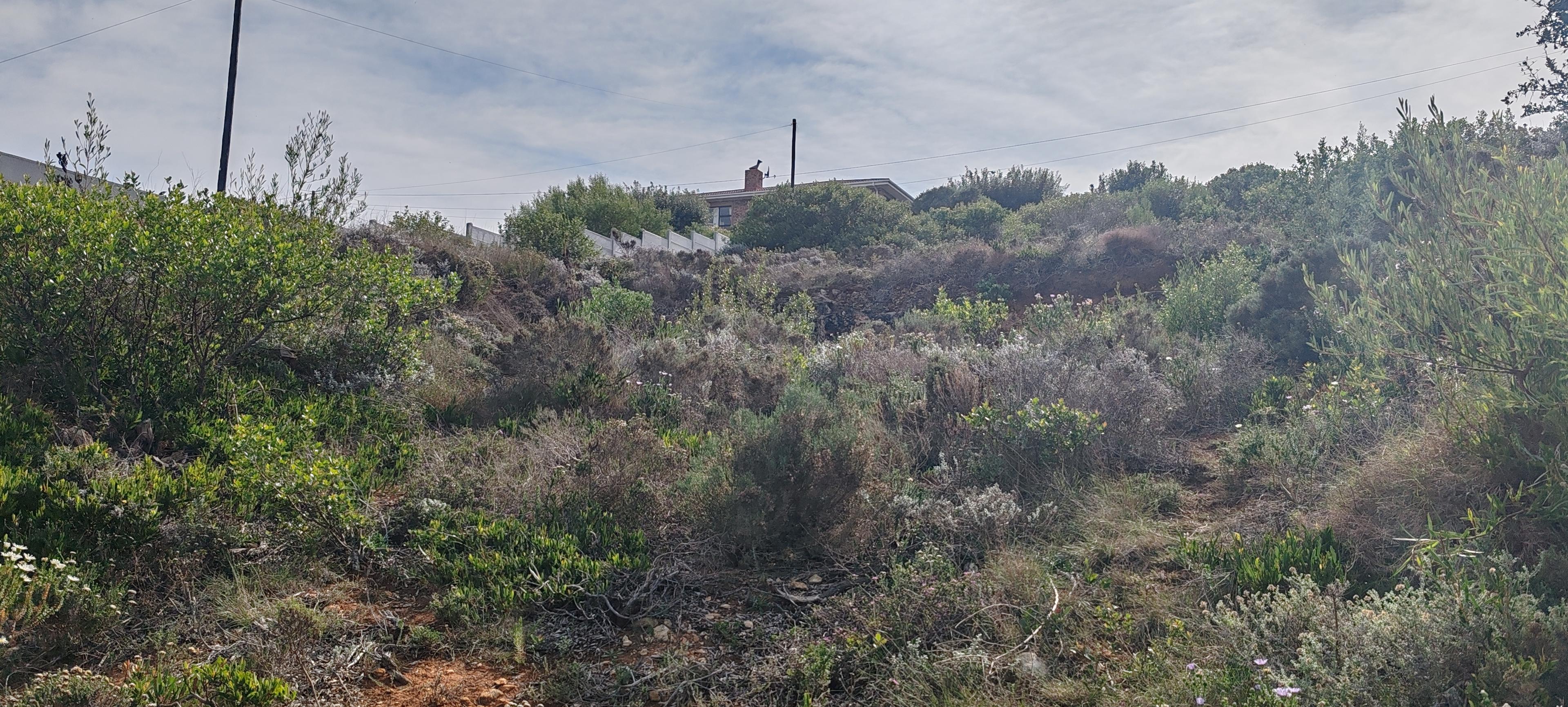 Image 2 of 6