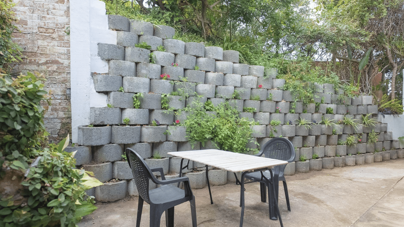 Image 20
