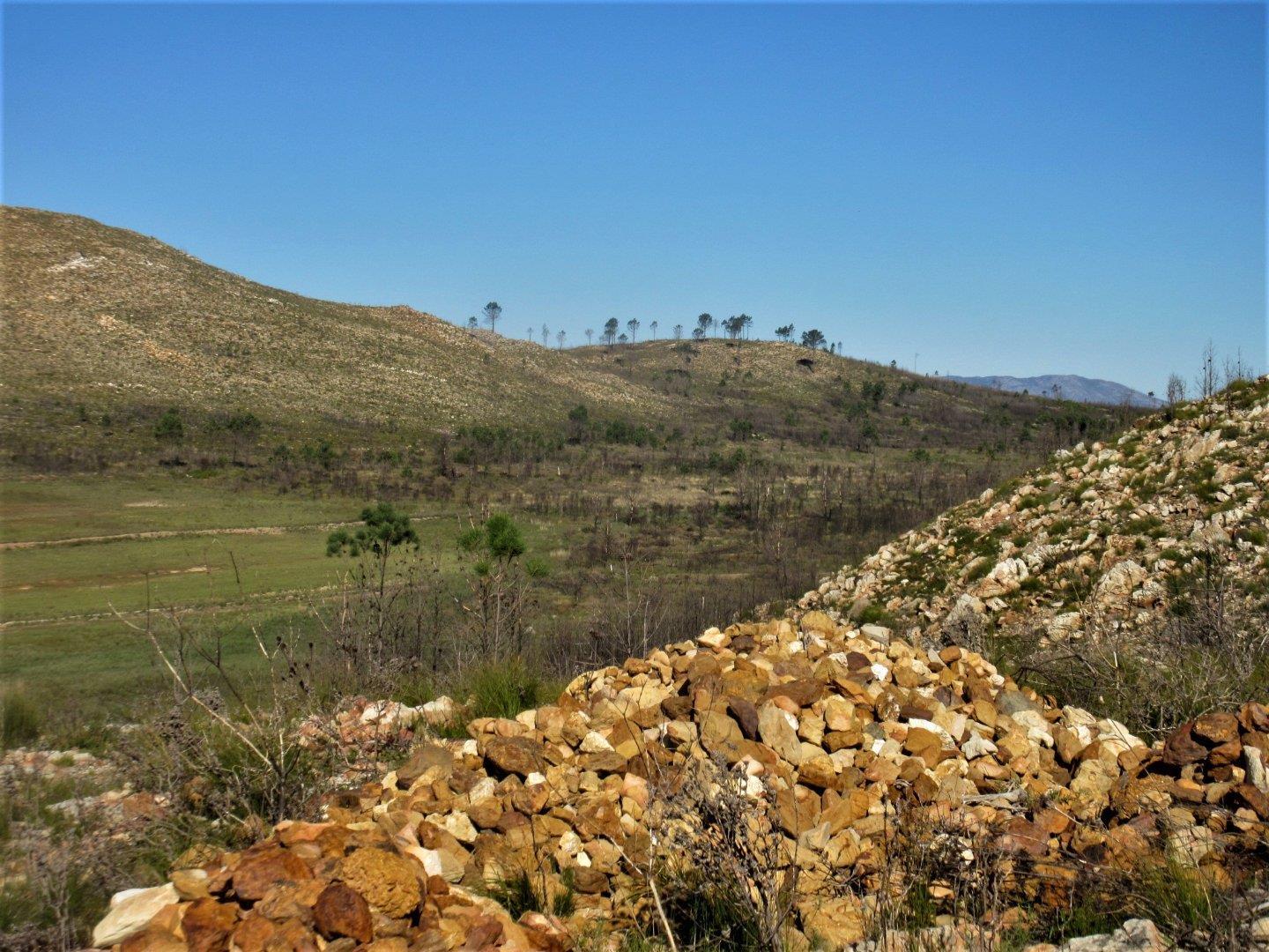 Image 13