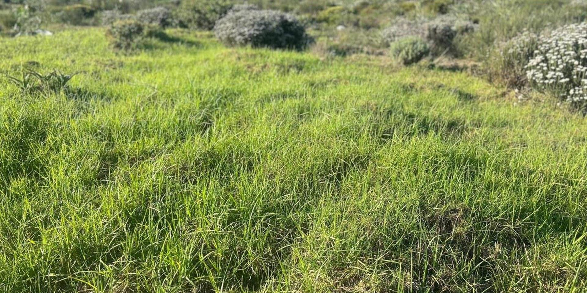 Image 2 of 6