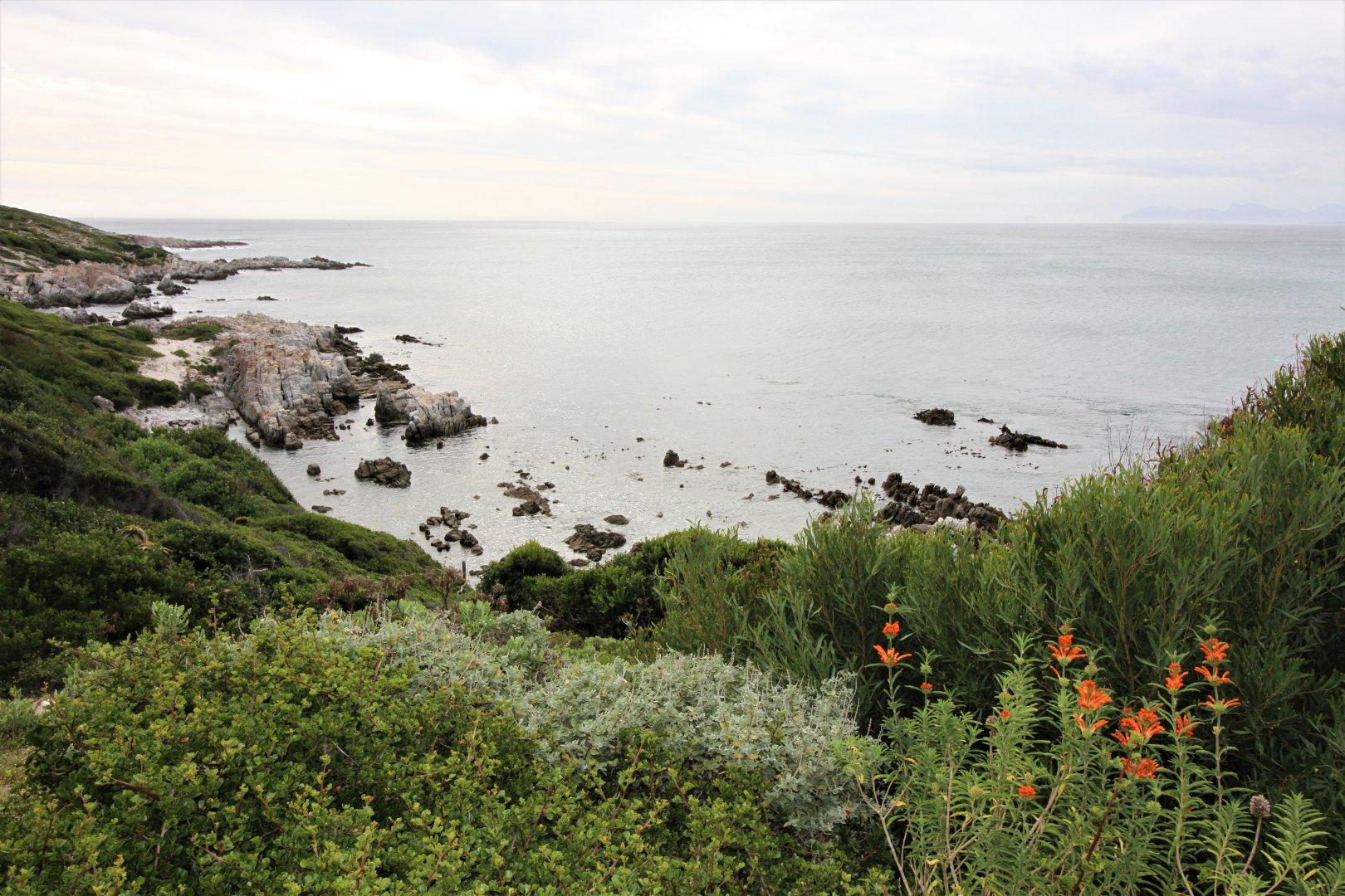 Image 15