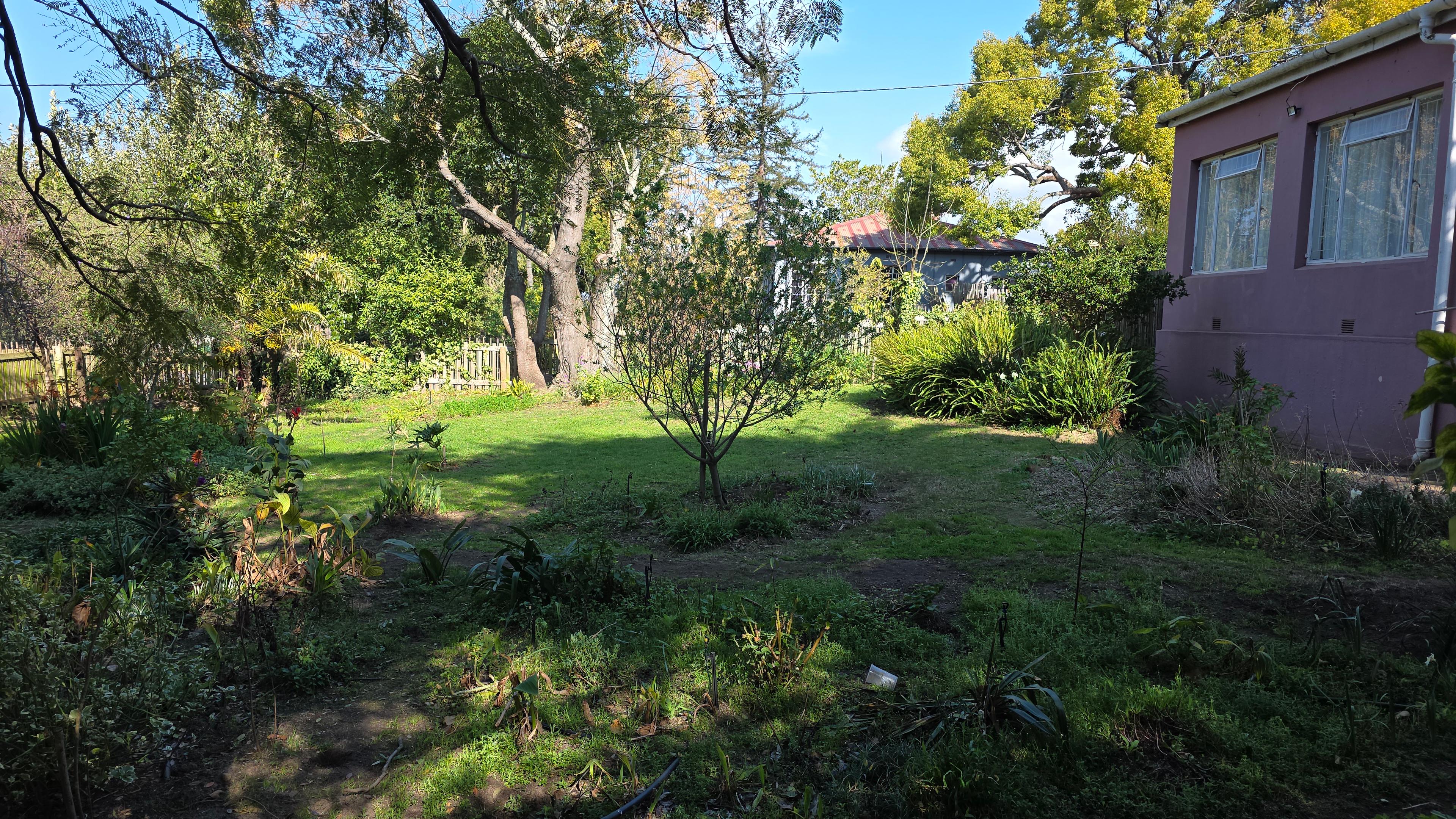 Image 13
