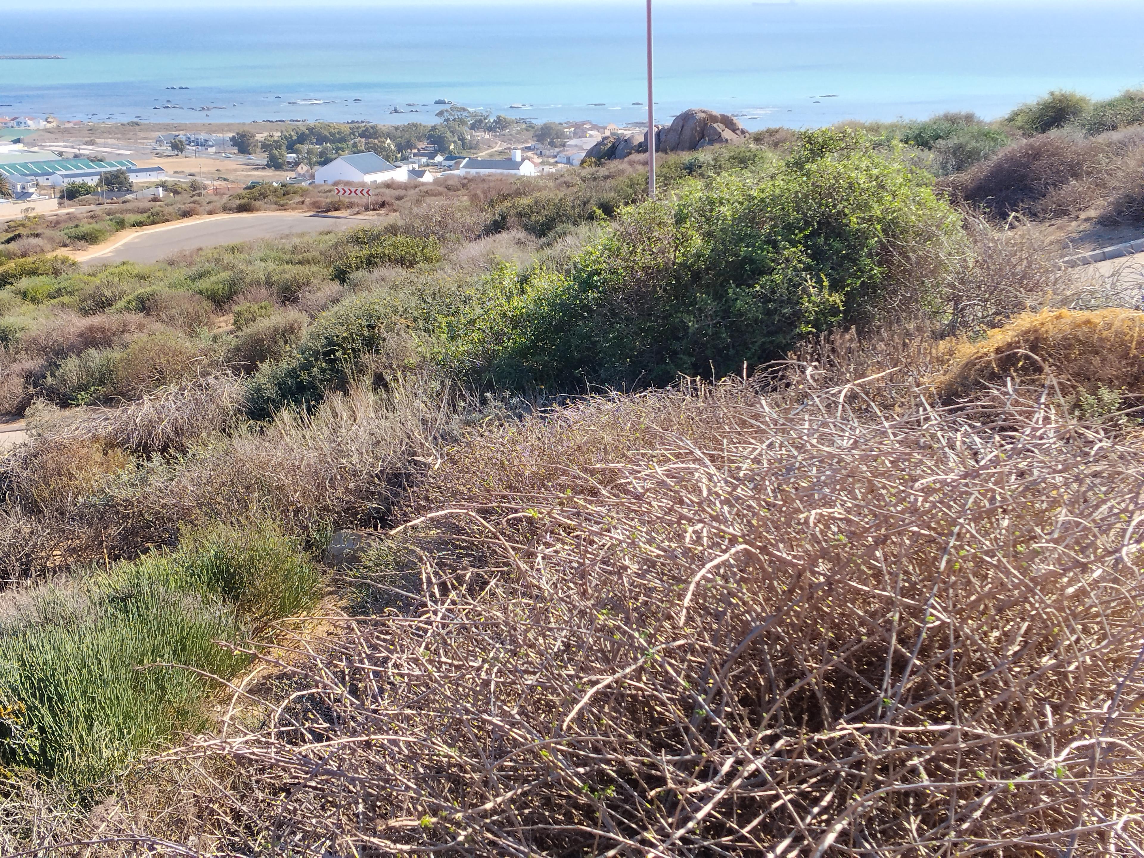 Image 5 of 6