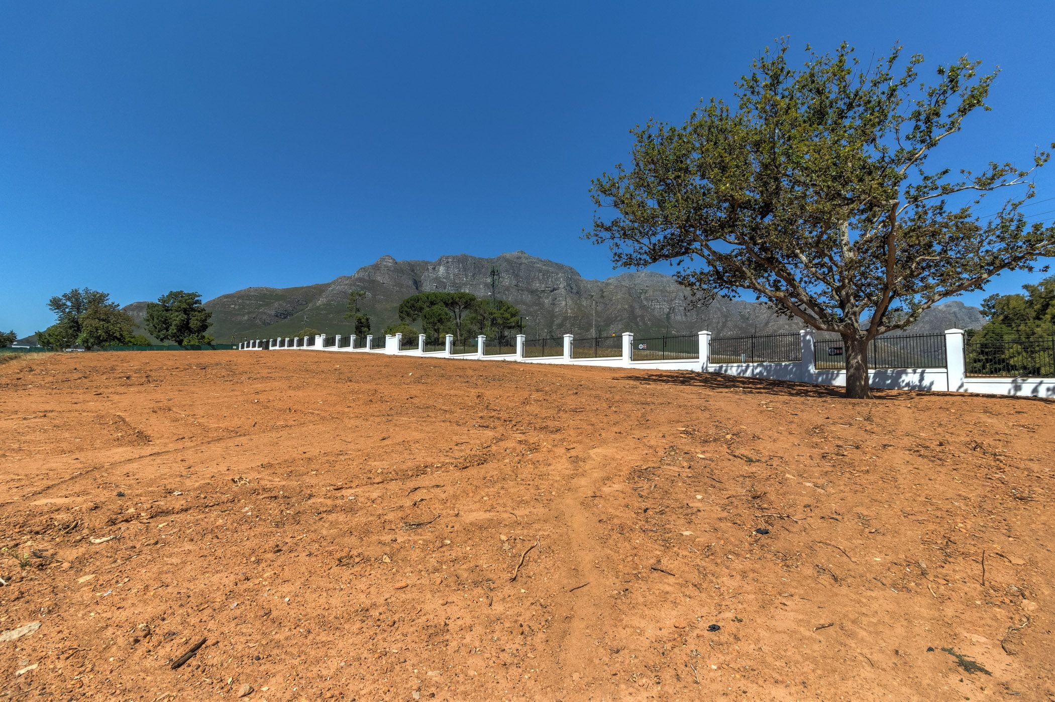 Image 4 of 6