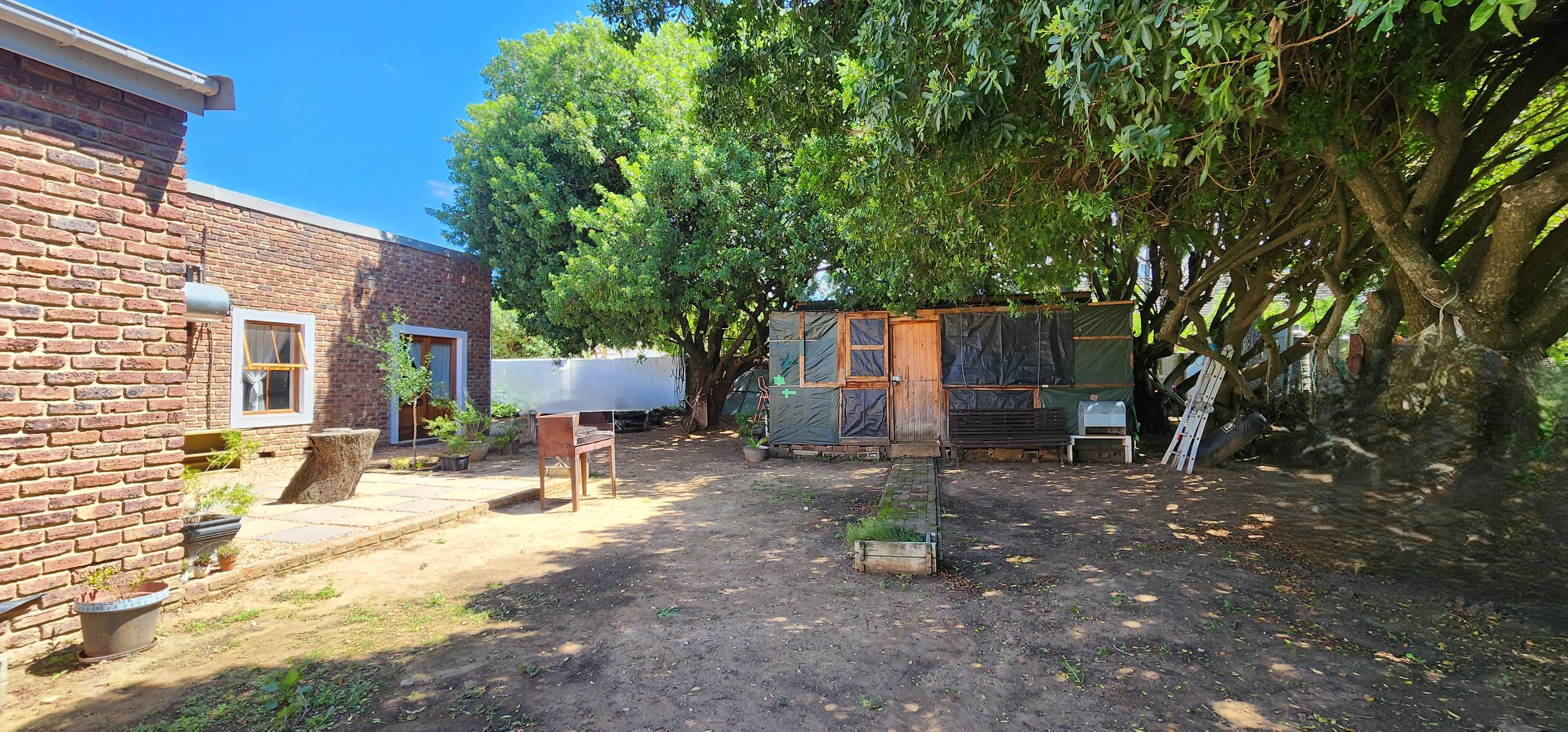 Image 21