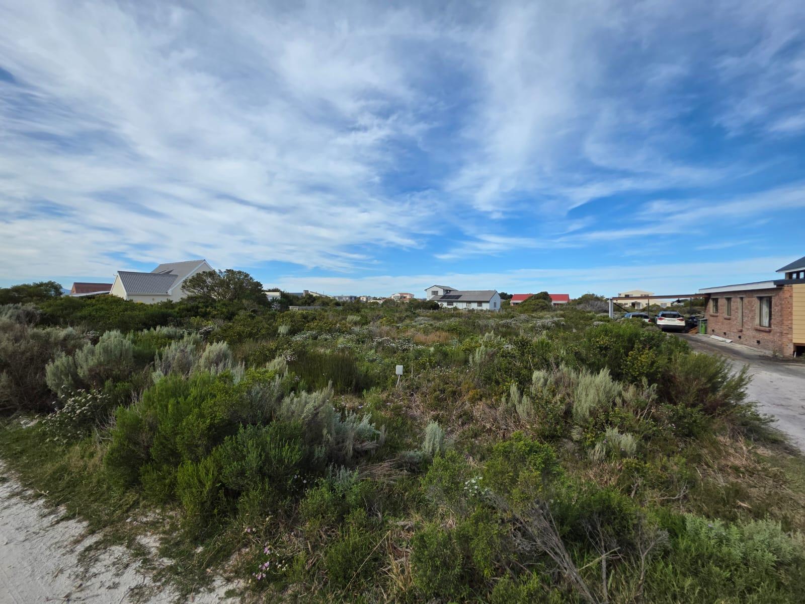 Image 12