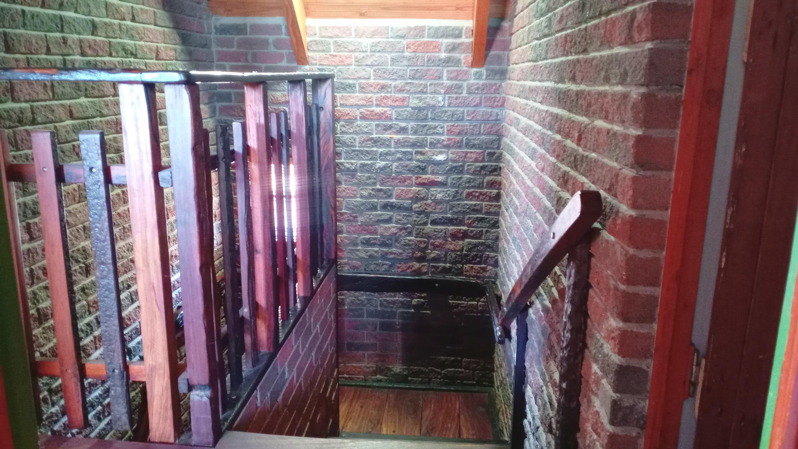 Image 11