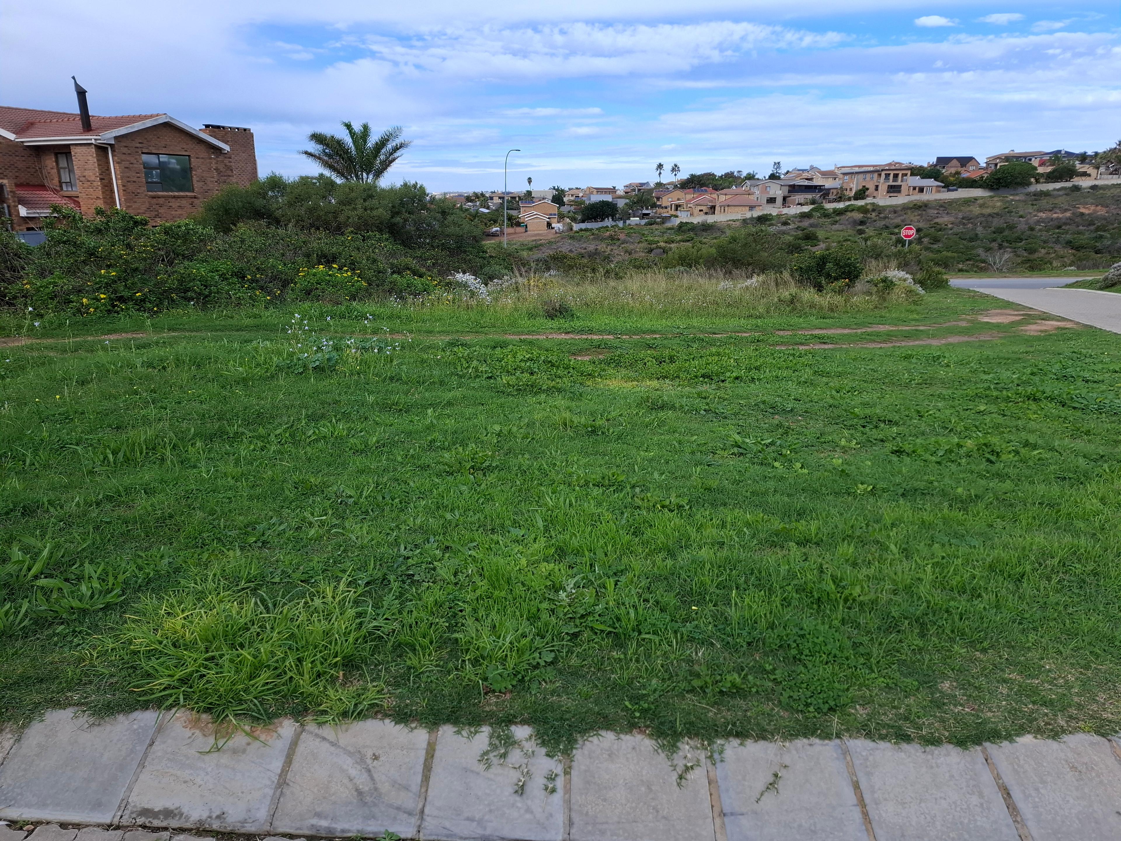 Image 2 of 6