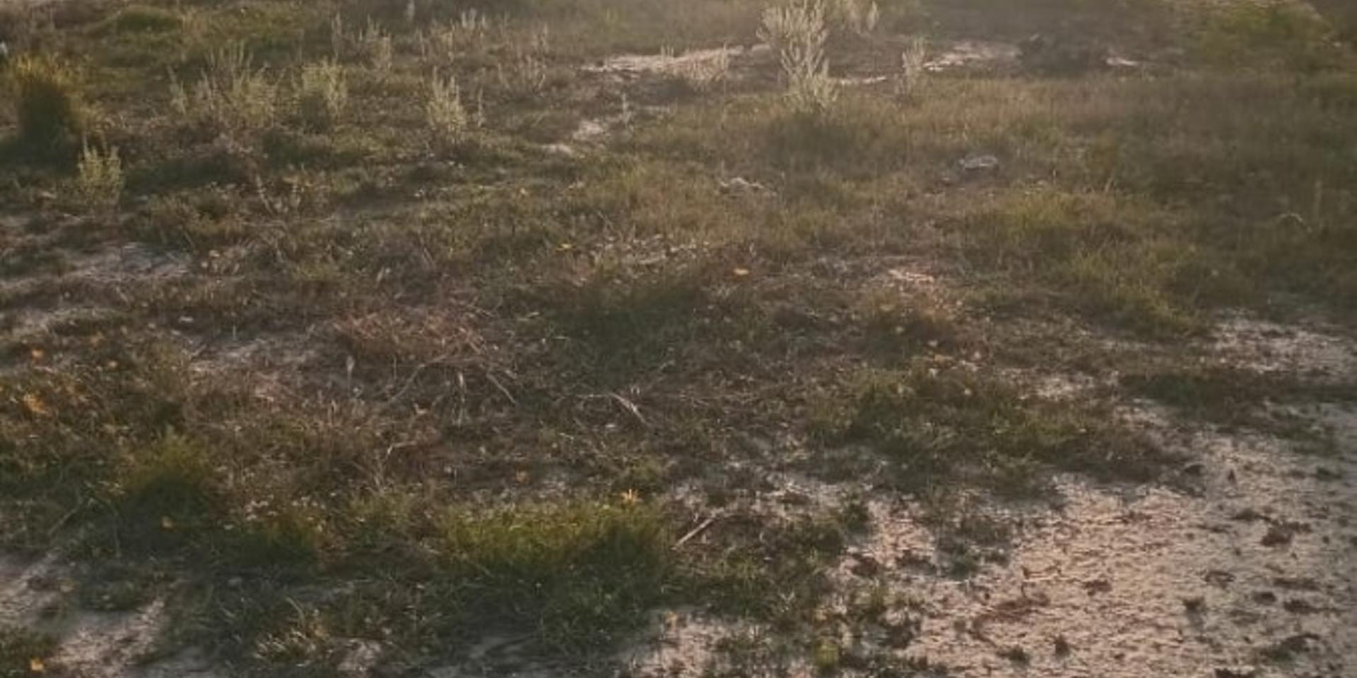 Image 4 of 6