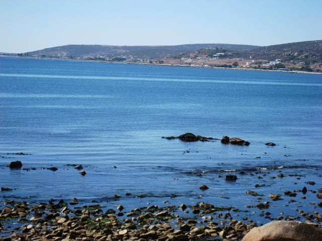 Image 13