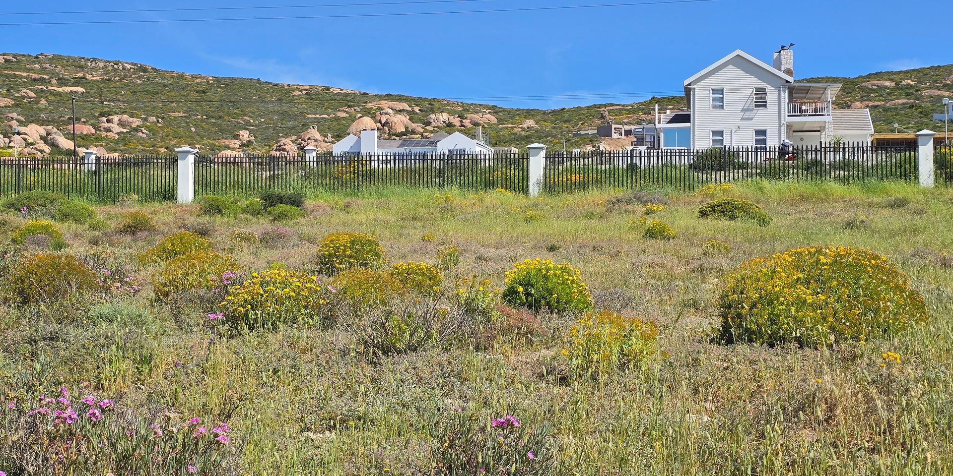 Image 4 of 6
