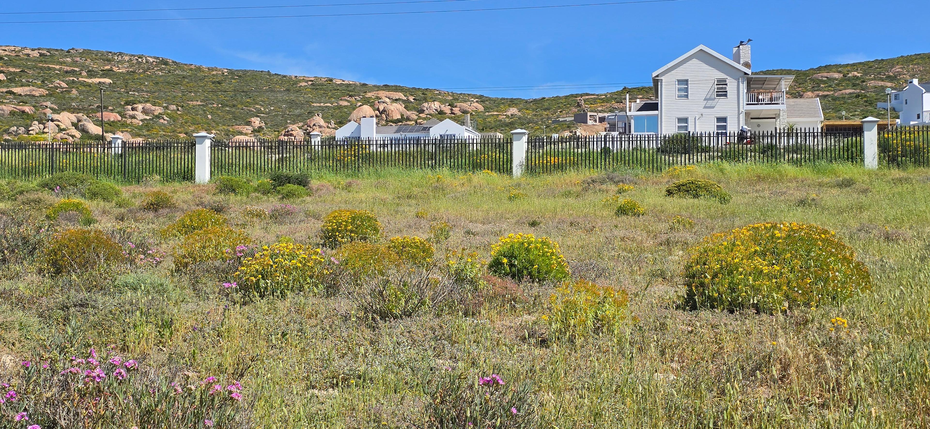 Image 4 of 6