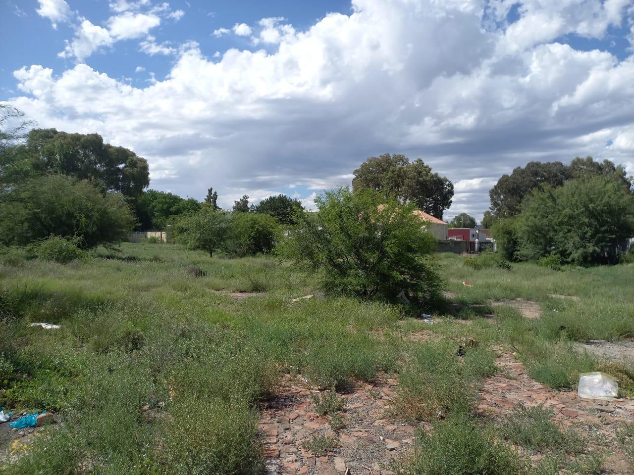 Image 3 of 6