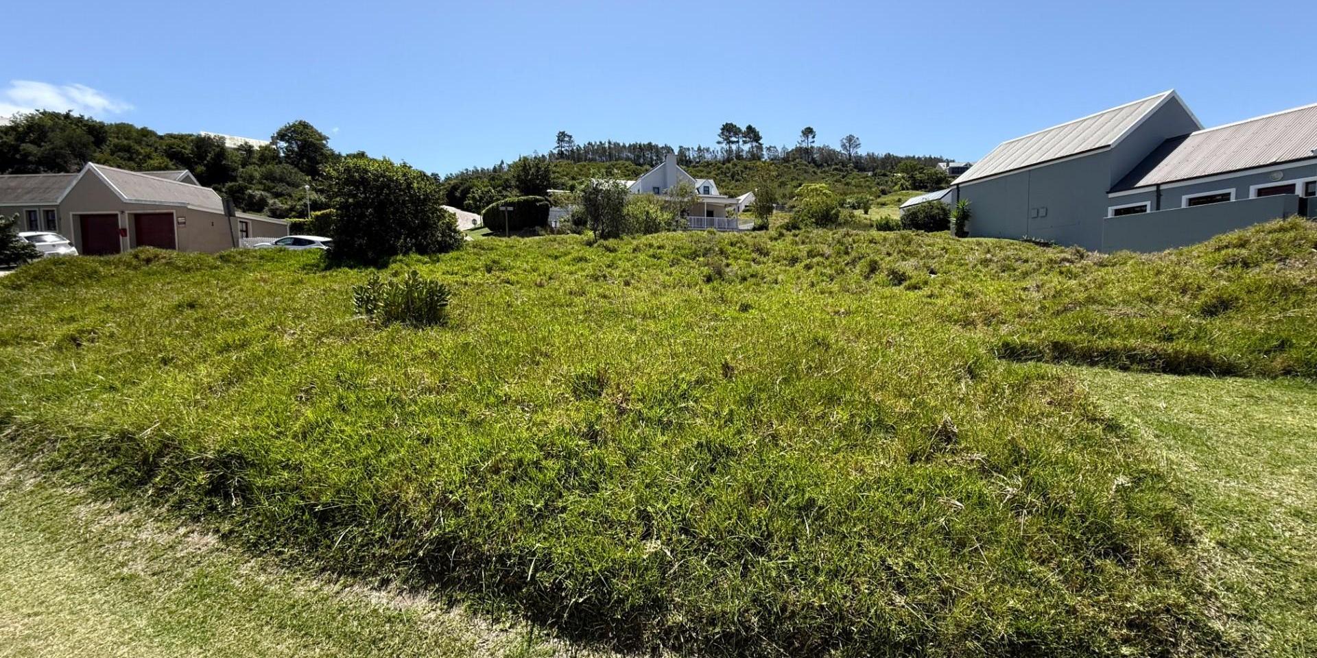 Image 5 of 6