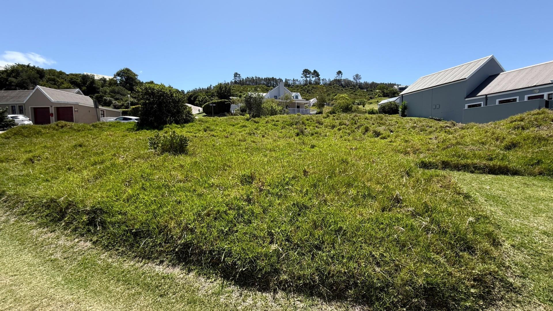Image 5 of 6
