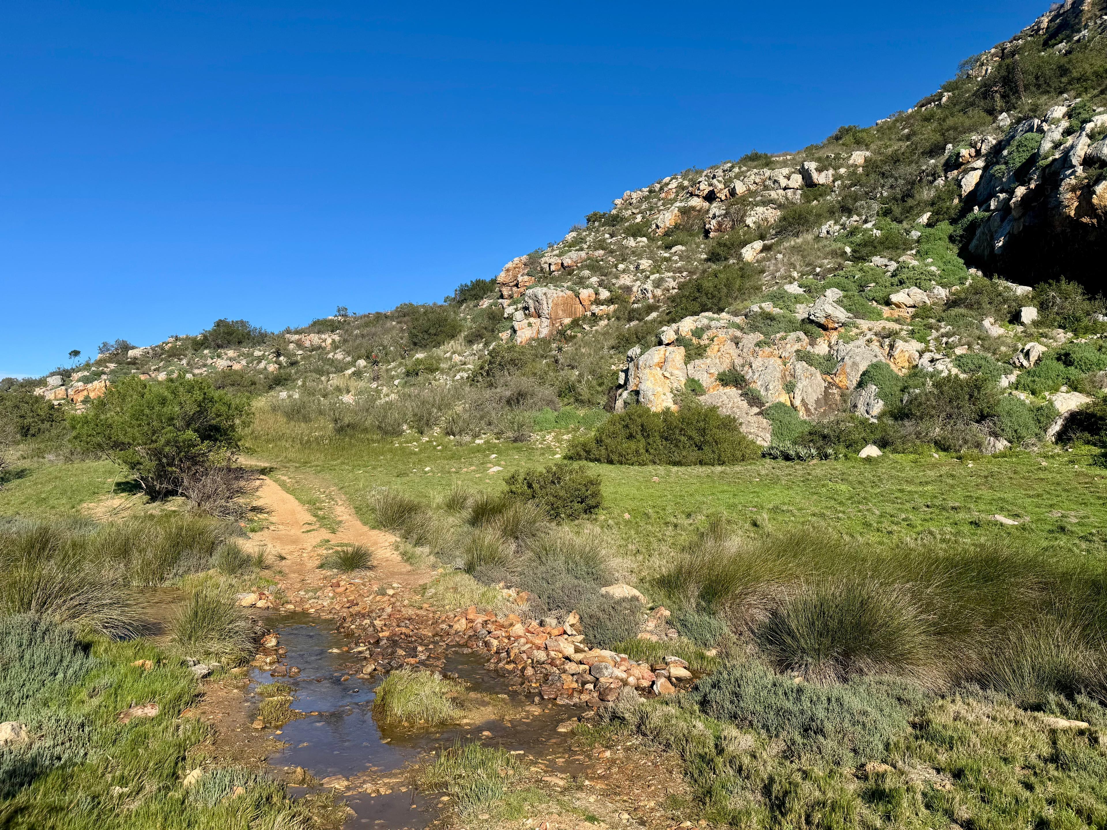 Image 2 of 6