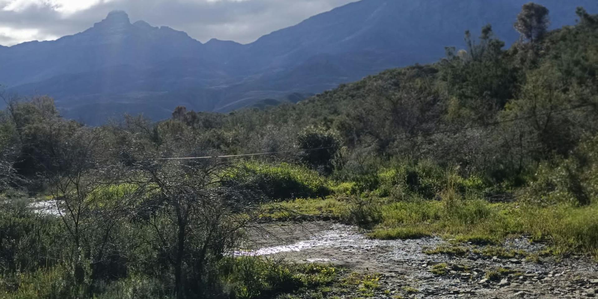 Image 4 of 6