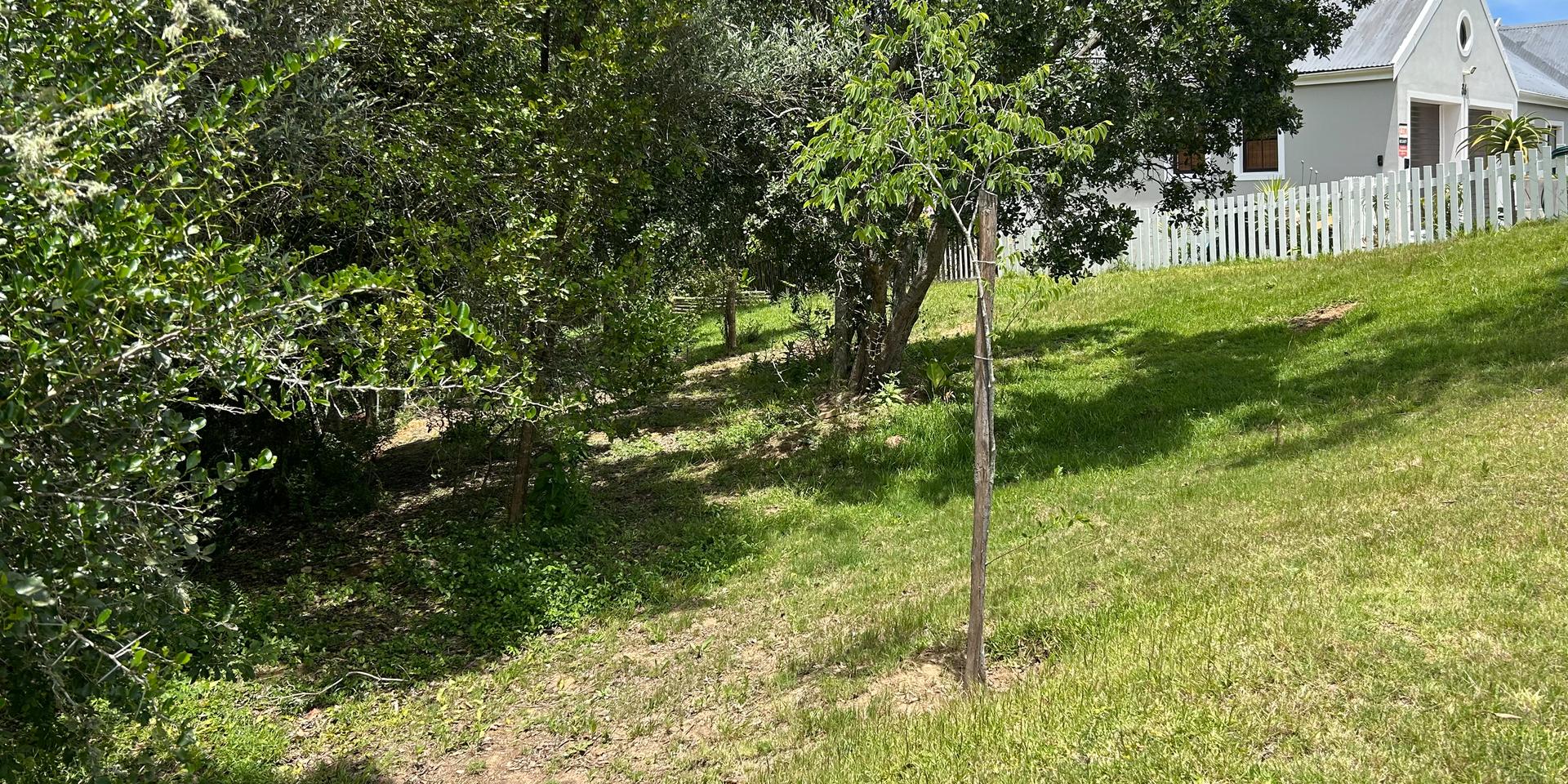 Image 4 of 6