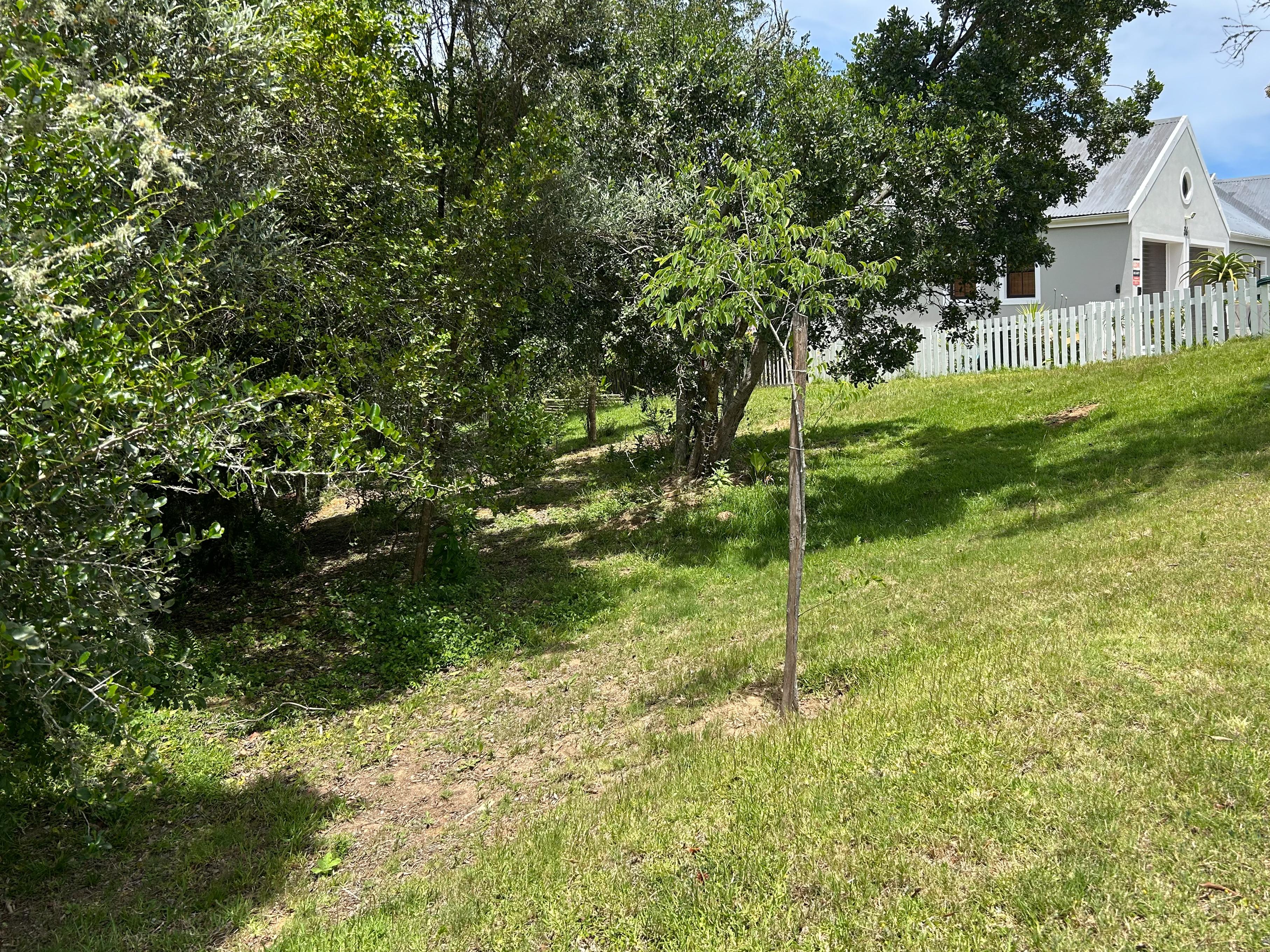 Image 4 of 6