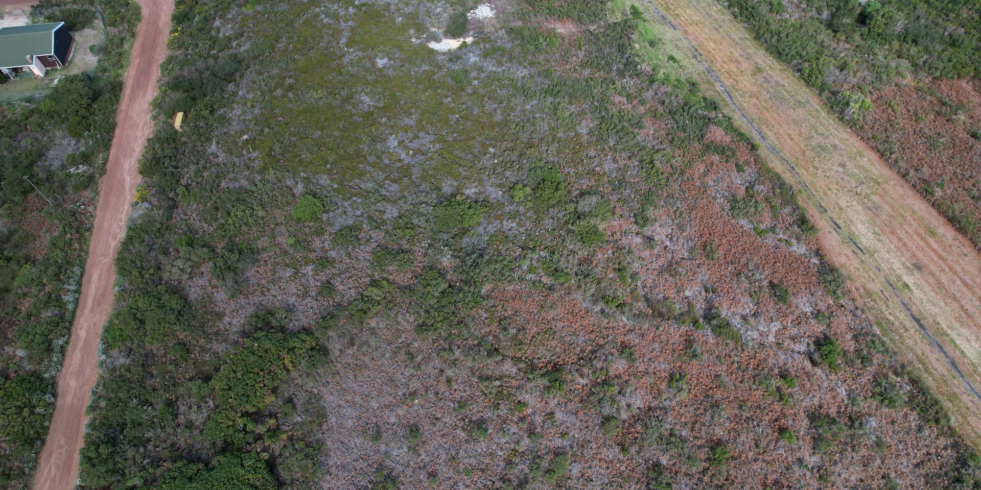 Image 5 of 6