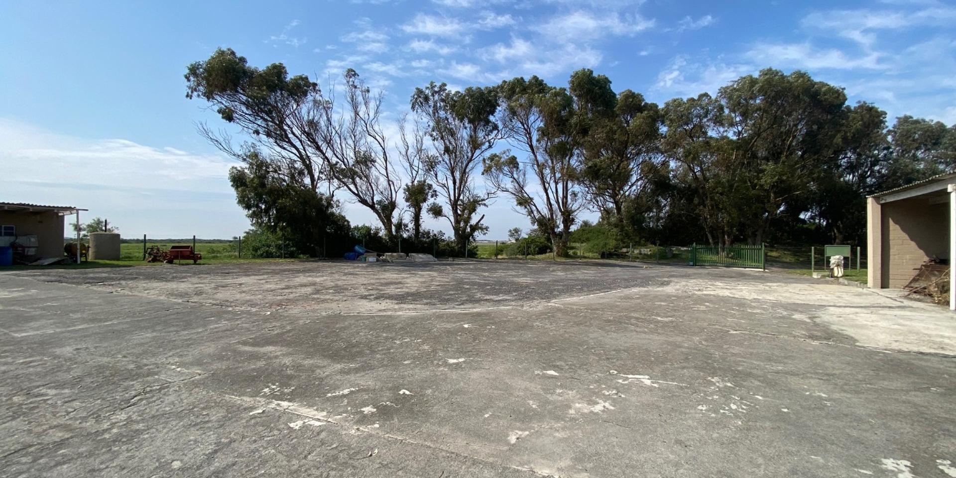 Image 4 of 6