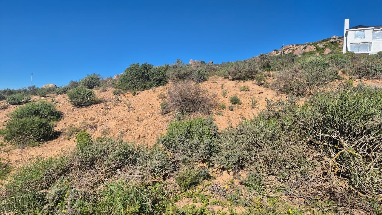 Image 5 of 6