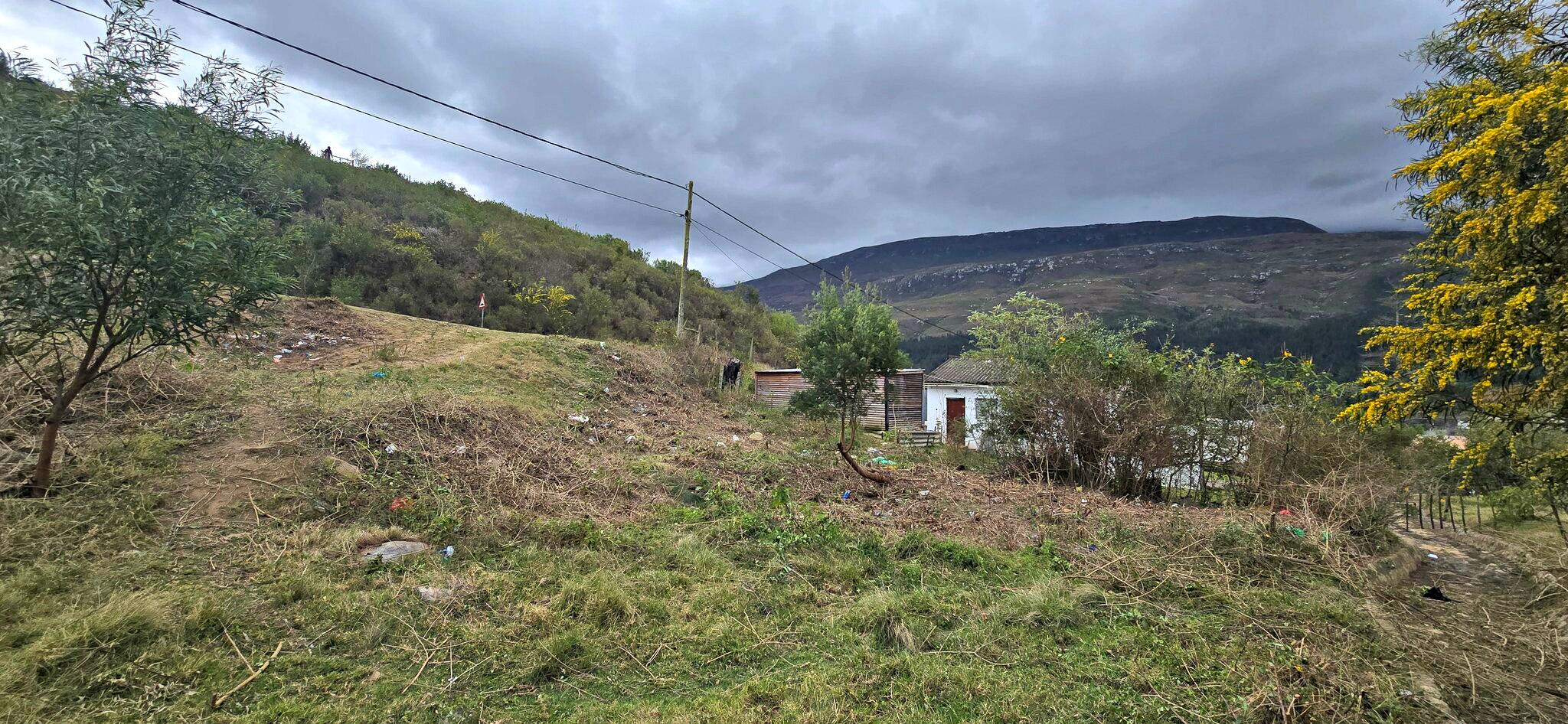 Image 4 of 6